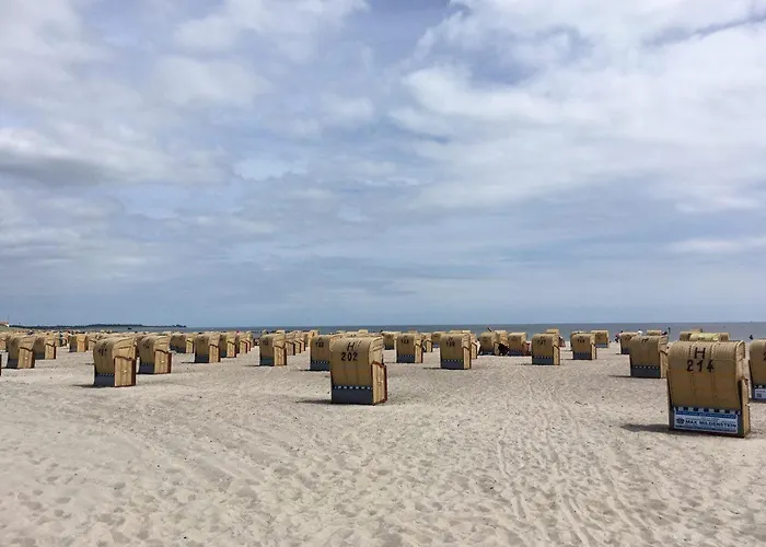 Meerblick Pur - Strandhafer Am Suedstrand Appartamento Fehmarn